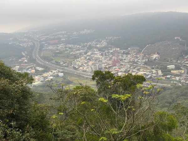 苗栗三義-三員縱走2616435