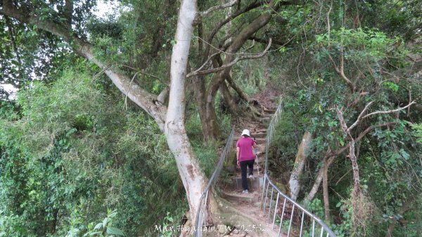 《彰化》稜線雙龍｜田中森林登山步道O型202506292824364