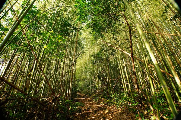 新竹 尖石 大混山、牛欄坑山、李崠山3058555