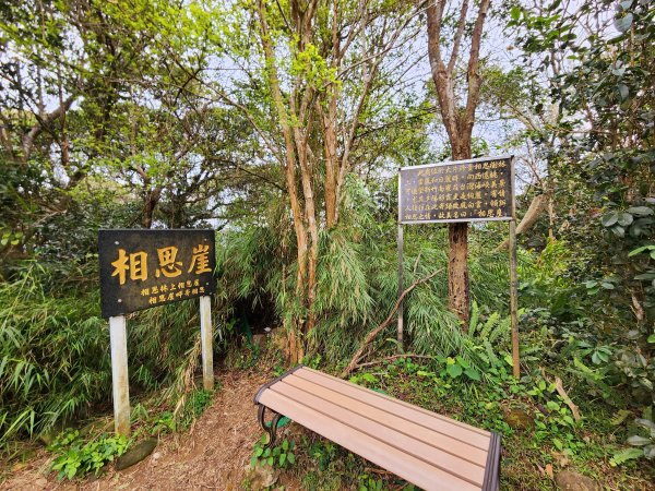 小百岳集起來-中坑山＆飛鳳山2181548