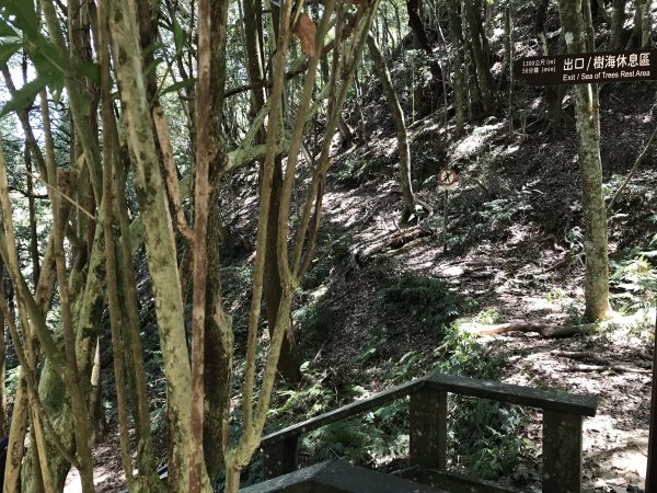 110年5月16日高雄   藤枝國家森林遊樂區1456925
