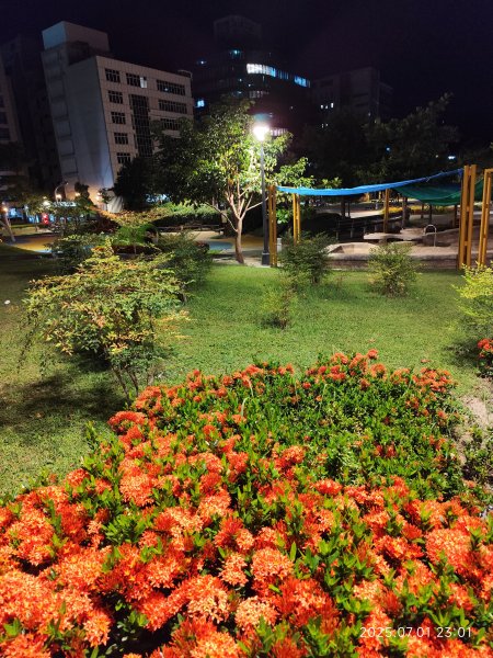 花博公園圓山園區、撫順公園【2025臺北健走趣】2827185