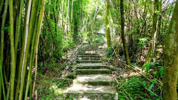 番王厝,番婆厝,王子厝,公主厝2827591