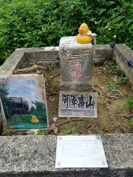 霧峰阿罩霧山2876959