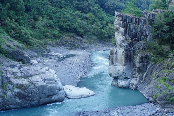 新竹 尖石 芝生毛臺山、虎禮山2903139
