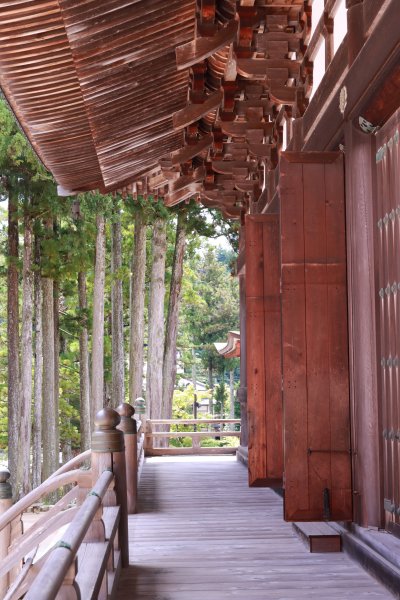 高野参詣道：不動坂に始まり祈りは奥の院へ2923237