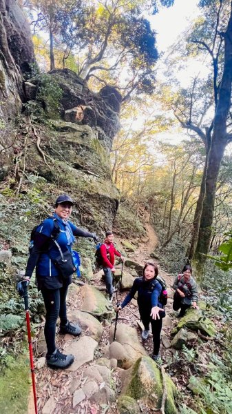 🌈3/15（日）北得拉曼神木+內鳥嘴山✨FB：熊熊趴爬走🌈3016836