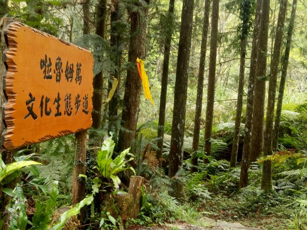 三角湖山向天湖山光天高山O形1911602