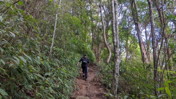 蝴蝶谷瀑布步道｜唐麻丹山登山步道 (松鶴部落上)1900091