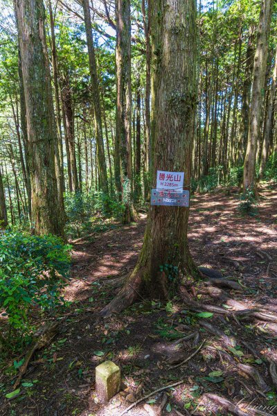 [百岳]南湖群峰