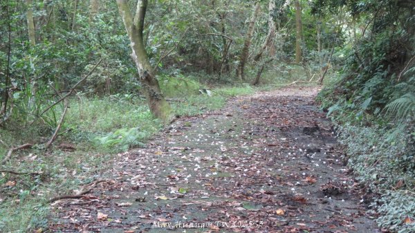 《苗栗》關刀出關｜三義關刀山出關古道(聖關段-苗56)202509052878861