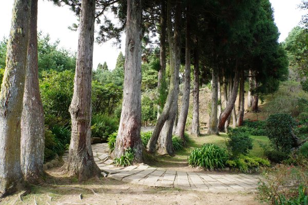 新竹 五峰 野馬瞰山2924669