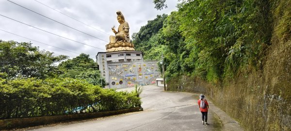 2025/07/06_金牌縱走(觀音洞出發小O型)2829127