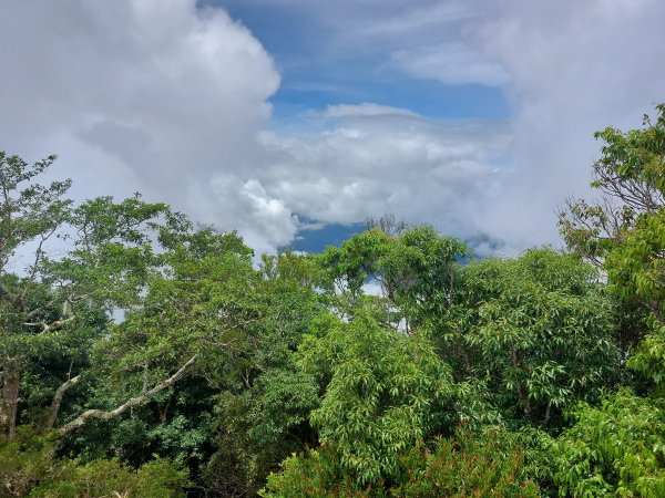 井步山1805919