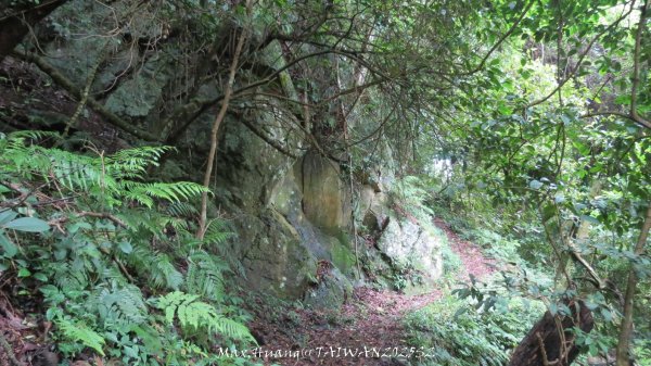 《雲林》望好望角｜石壁山嘉南雲峰步道(中側登山口）202506072805530