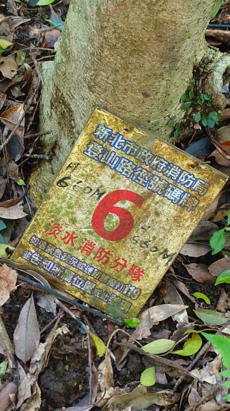 20260125 陽明山前後山健行(無極天元宮~山仔頂步道.向天池.向天山.面天山.二子坪)2997970