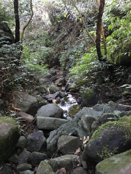 小觀音山群峰474901