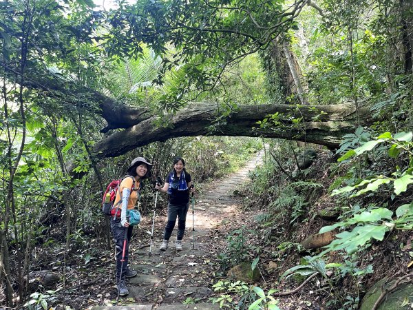 飛鳳山 大8三個山頭1722209