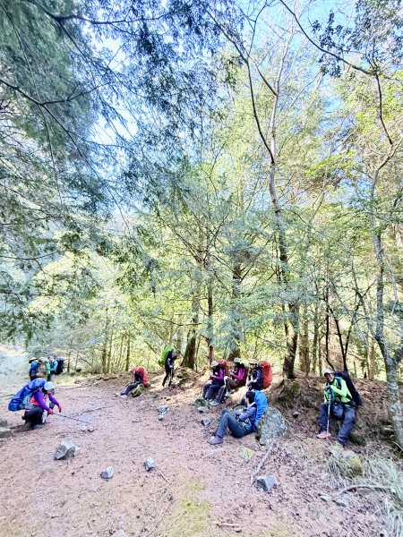 230林道糜爛去    2025.2.28-3.12733794