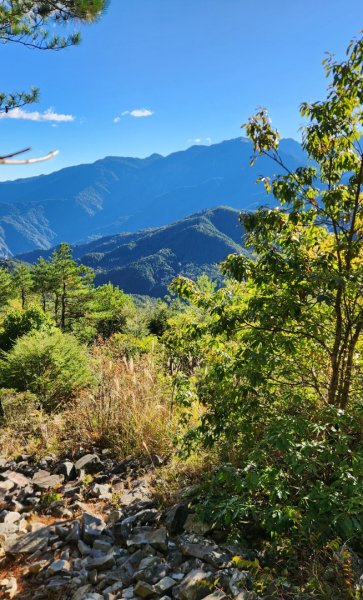 【中級山縱走】羅馬縱走，走進神木的夢幻童話森林世界2943184