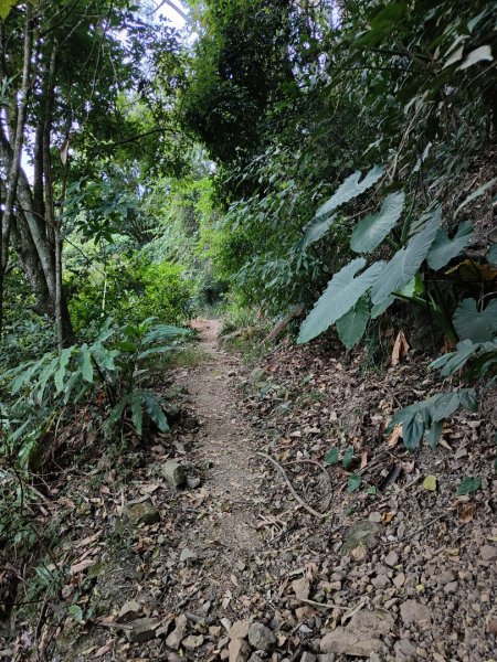 2023.11.30 九份二山2677678