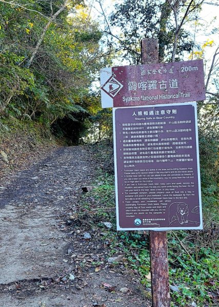 熱血一日霞喀羅賞楓之旅2785054