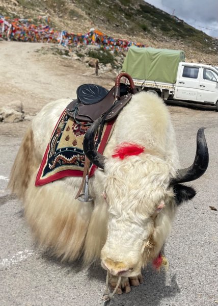 川藏深度之旅33天/A行程2902867