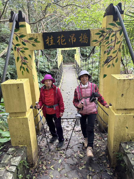 南港茶葉製造示範場步道群與深按頭山步道