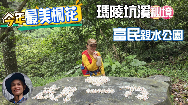 今年最美賞桐花秘境，瑪西賞桐步道，基隆七堵富民親水公園對岸。瑪陵坑溪秘境，台版亞馬遜雨林，苓蘭生態公園賞荷花，輕鬆好走的賞桐花賞景秘境。