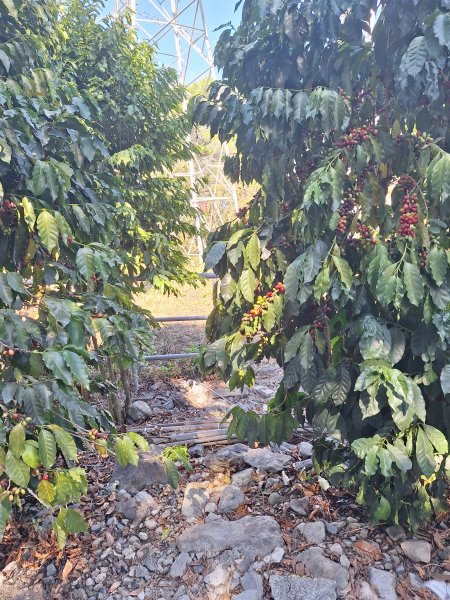 上谷關山202511202940856