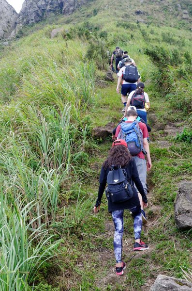 無耳茶壺山。黃金三稜539677