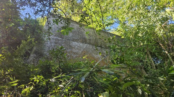 20250925柑子坑山動01-動04-市929-市582894939