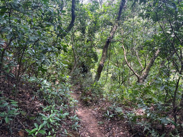 三段崎古道2835517