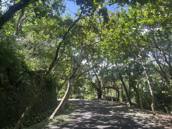 [屏步青雲 尋寶任務-03/10] 2024_0917 雙流國家森林遊樂區（瀑布步道）2597835