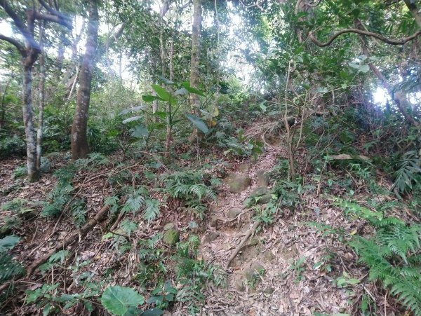 暗影山 小百岳 三等三角點4181690850