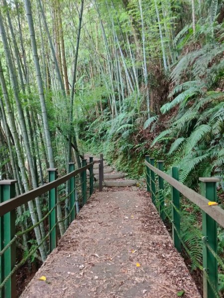 貓囒、後尖山二岳行程1048012