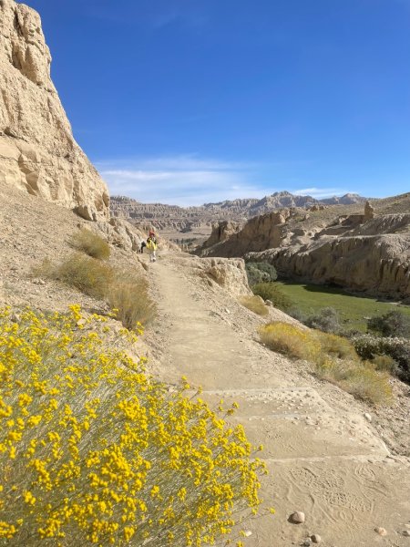 拉薩/布達拉宮-札達/古格王朝遺址皮央東嘎遺址-古寺廟2898624