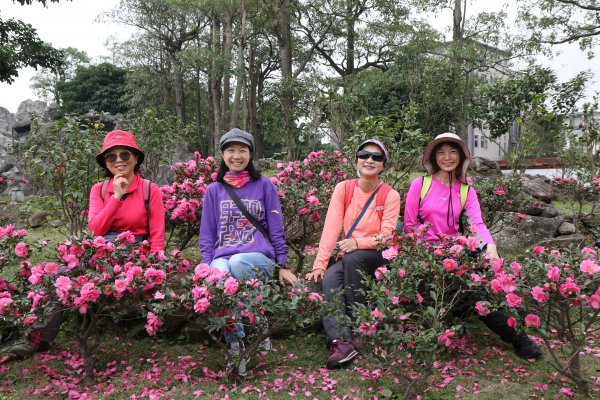 大佳河濱公園連走林安泰古厝、新生公園