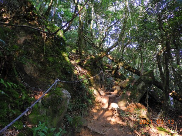 苗栗 南庄 加里山、哈堪尼山1304153