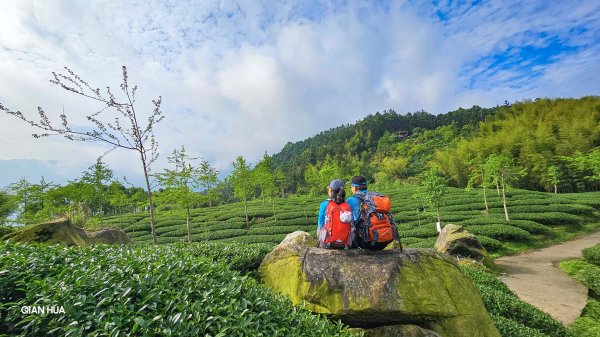 【溪頭四秀】溪頭山、竹崙山、志騰山、快活林~杉林、竹海、茶園與雲層變幻，一趟輕鬆擁有