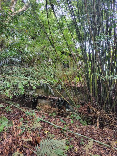 鳳鳴古道 鳳鳴山 南隘勇（南長城）古道 三湖山 八達嶺（龍骨）古道 綠色古道 延平古道2975290