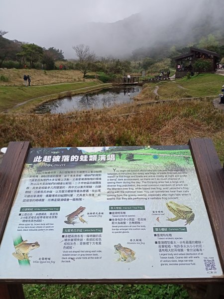 【臺北大縱走 1】二子坪→面天山→清天宮1274580