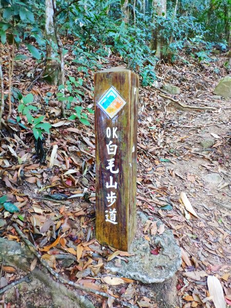 谷關七雄老六_白毛山1232052