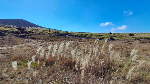 濟州島漢拏山-御里牧路線下2942702