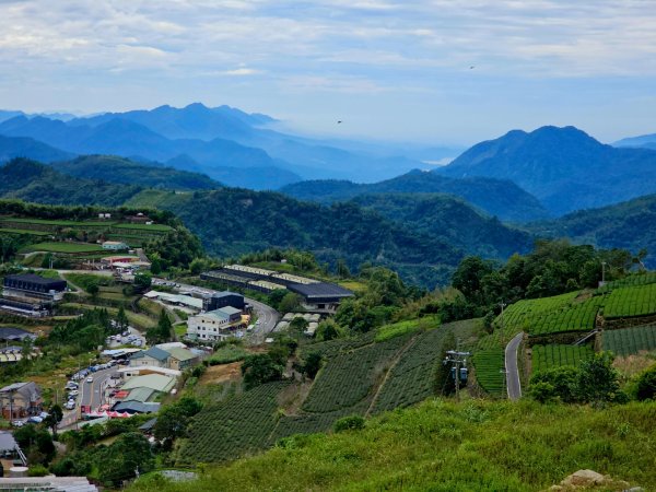 二延平步道&茶霧之道2636693