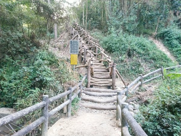 大坑步道全包一起登( 2 3維修)747611