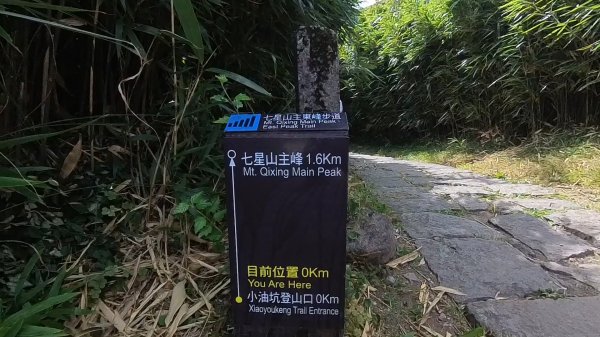 20250706_三進七星山2832461