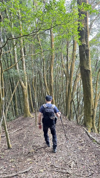 崩潰陡上的水雲三星～鳥嘴山（上島山）2095307