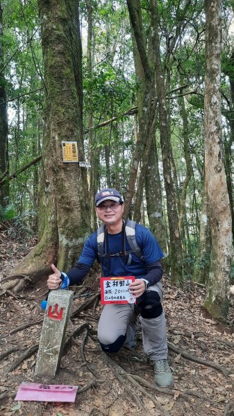 《南投》忘憂森林｜嶺頭山及金柑樹山O繞(留龍頭起登)202303182076817