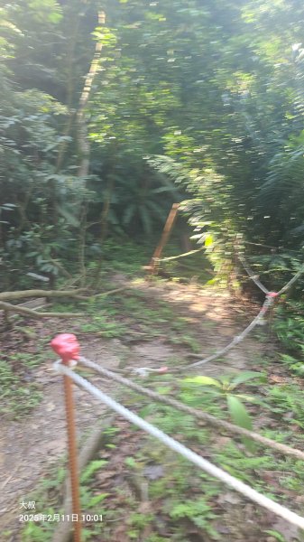 2025-0211造鎮_太極嶺_五城山小段攀爬路線2710728